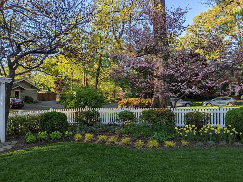 Colorful mixed perennial flower bed with healthy green grass